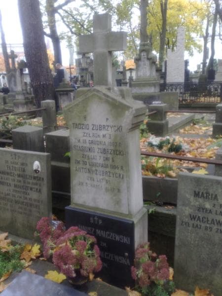Zdjęcie grobu Marceli Piasecki (2)