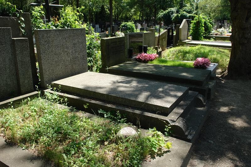 Zdjęcie grobu: Teodora Dąbrowska