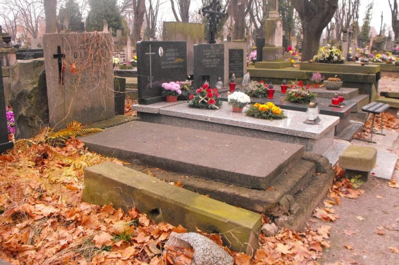 Zdjęcie grobu Jadwiga Dippel (1)