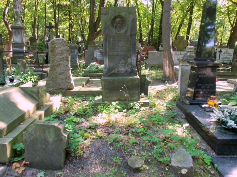 Zdjęcie grobu Stanisław Burkiewicz (1)