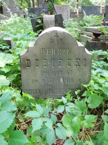 Zdjęcie grobu Henryk Dobiecki (1)