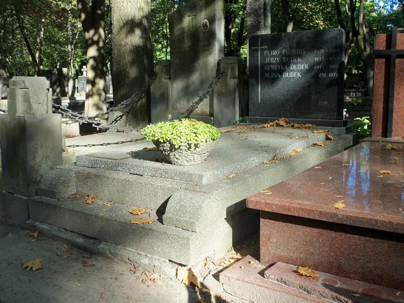 Zdjęcie grobu Henryka Dudek (1)