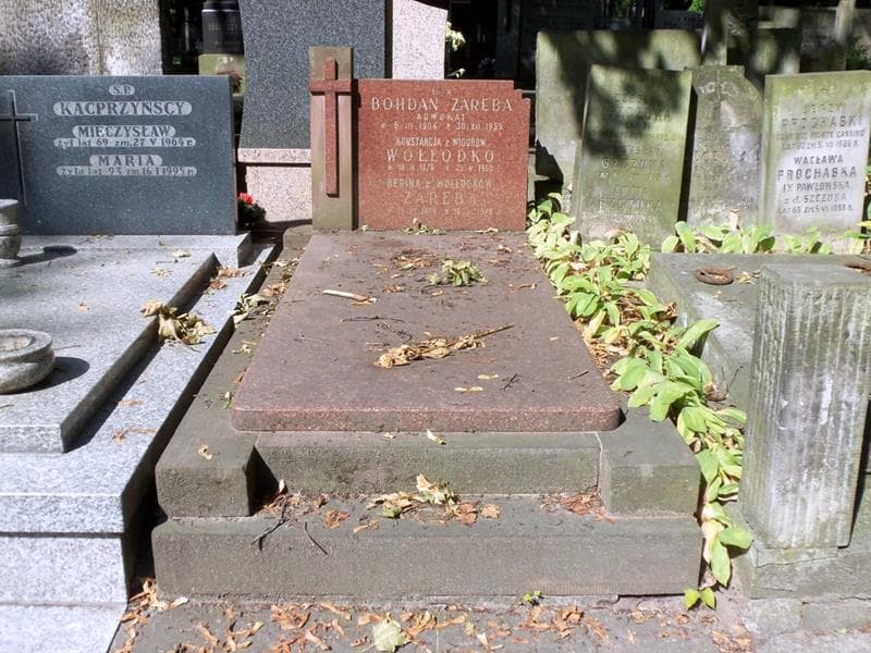 Zdjęcie grobu Konstancja Wołłodko (1)