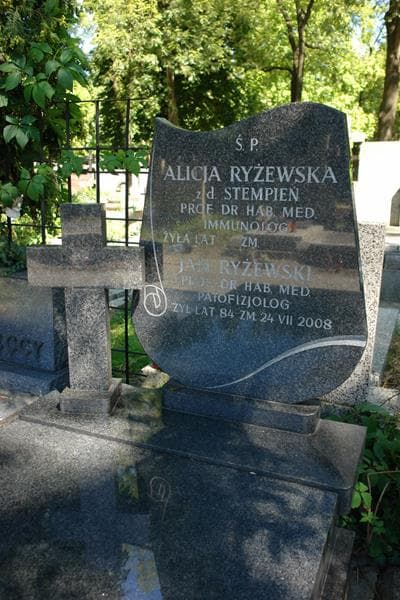 Zdjęcie grobu Jan Ryżewski (2)