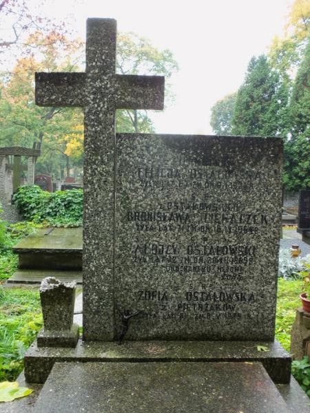 Zdjęcie grobu Bronisława Tichaczek (2)