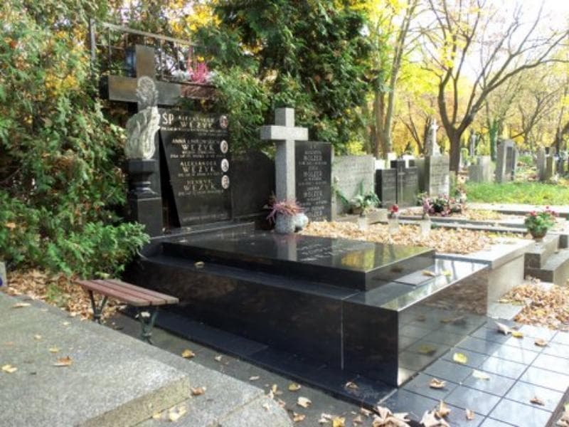 Zdjęcie grobu Aleksander Wężyk (1)