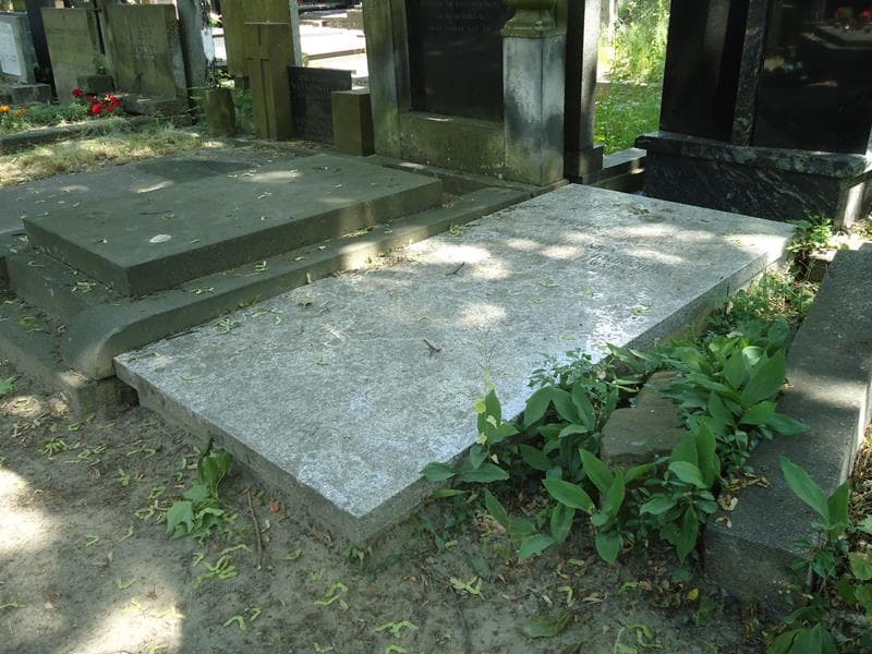 Zdjęcie grobu Seweryn Drzewski (1)