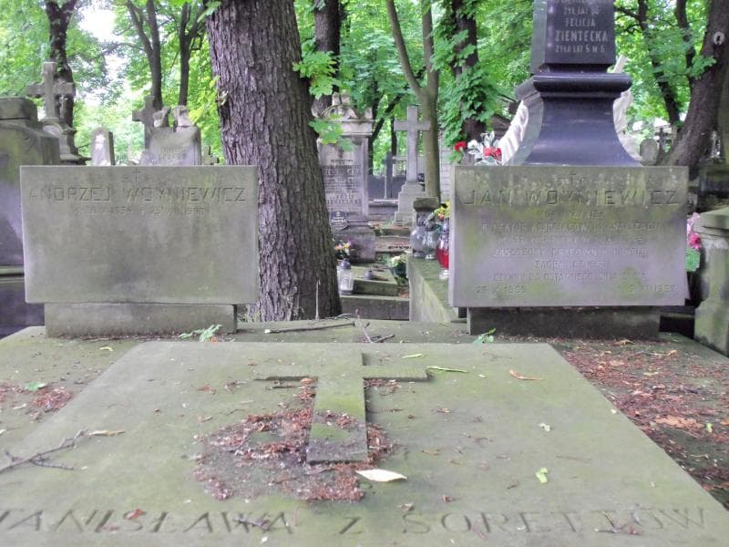 Zdjęcie grobu Ludwik Wojciech Woyniewicz (2)