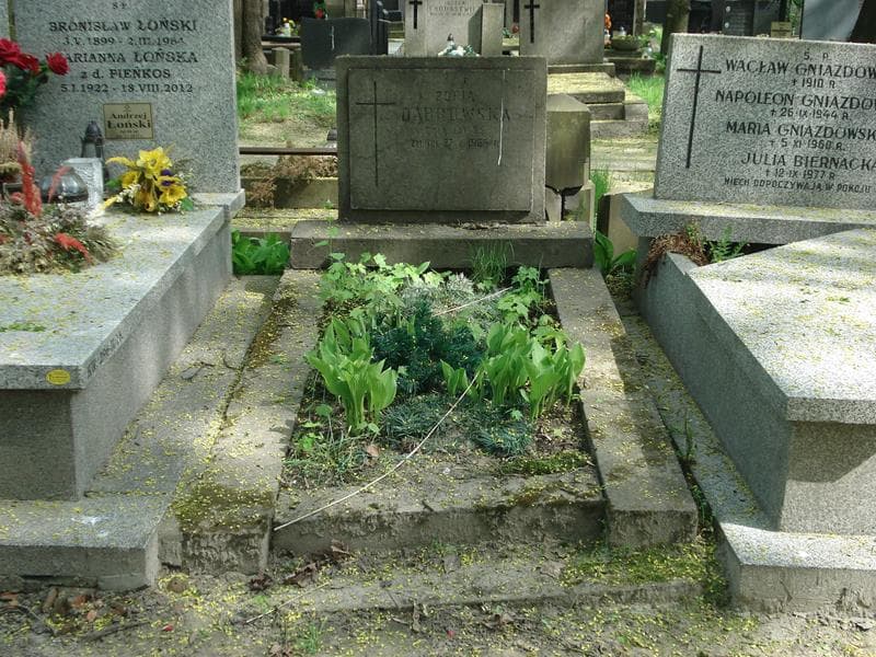 Zdjęcie grobu: Zofia Dąbrowska