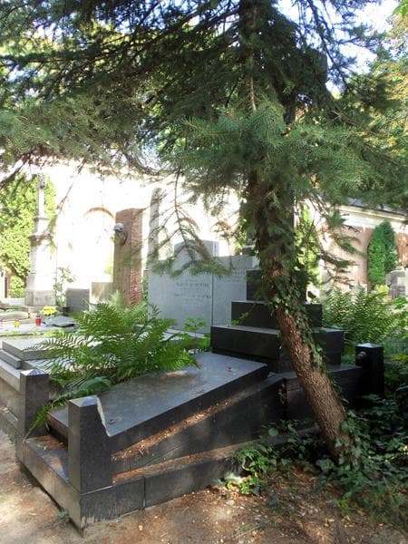 Zdjęcie grobu Piotr Herr (1)