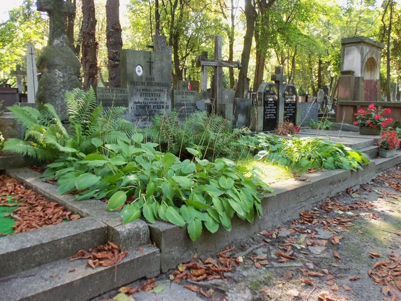Zdjęcie grobu Józef Byszewski (1)