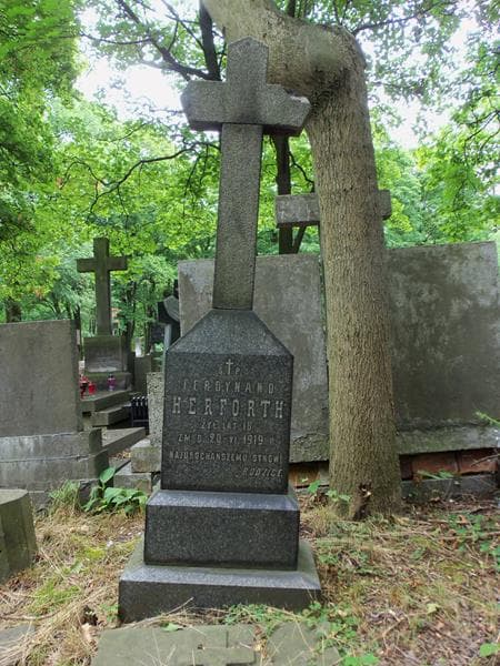 Zdjęcie grobu Ferdynand Herforth (2)