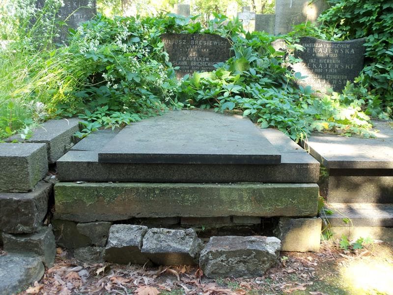 Zdjęcie grobu: Bronisława Bresiewiczowa
