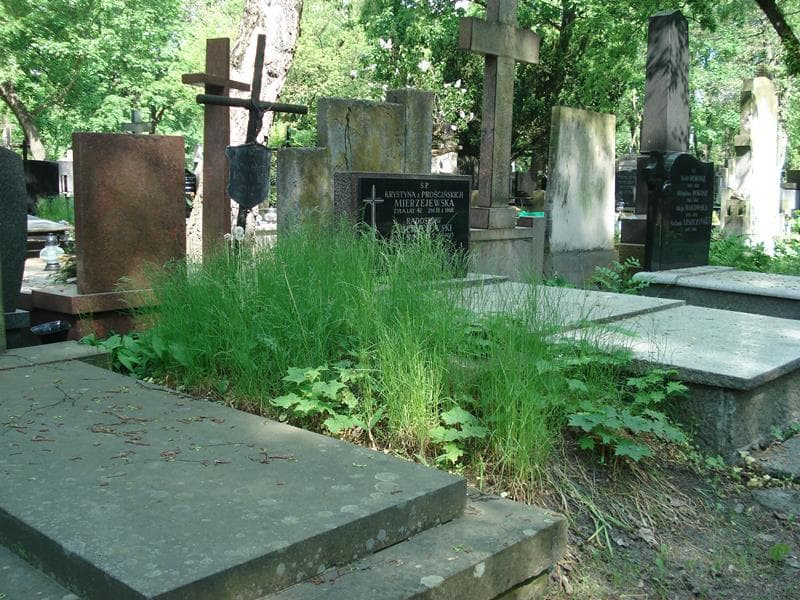 Zdjęcie grobu Stanisław Knabe (1)