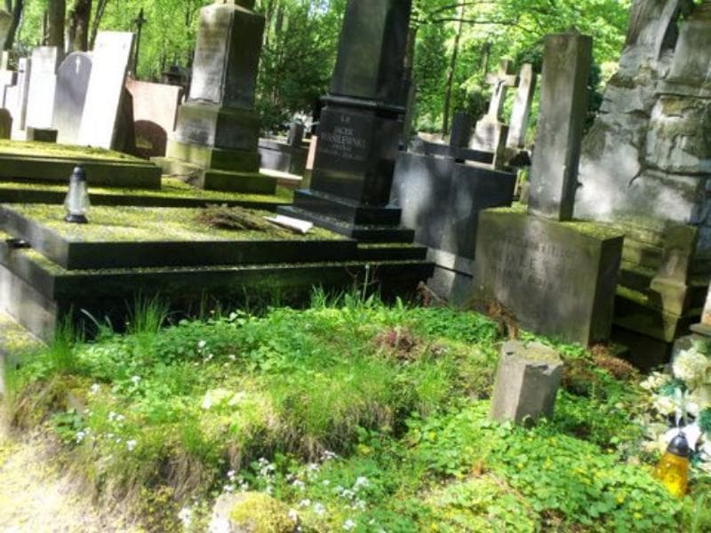 Zdjęcie grobu Emilia Rozwadowska (1)