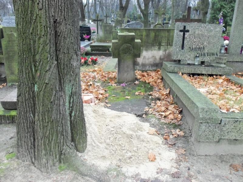 Zdjęcie grobu Zofja Lipińska (1)