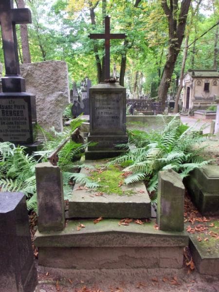 Zdjęcie grobu: Pelagia Dzwonkowska