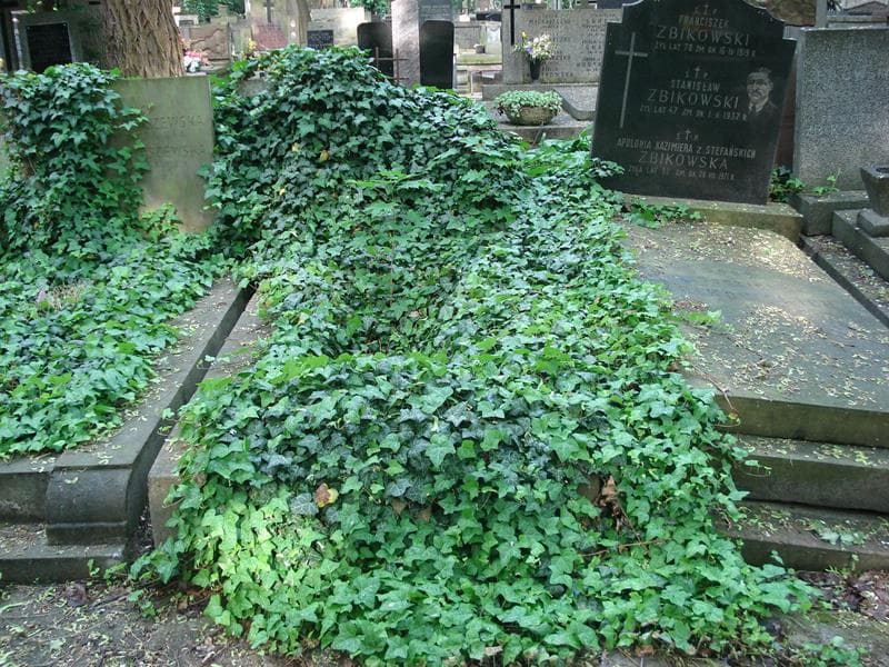 Zdjęcie grobu: Józefa Maruszkinowa