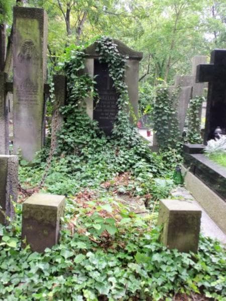Zdjęcie grobu: Bronisława Jarzęcka