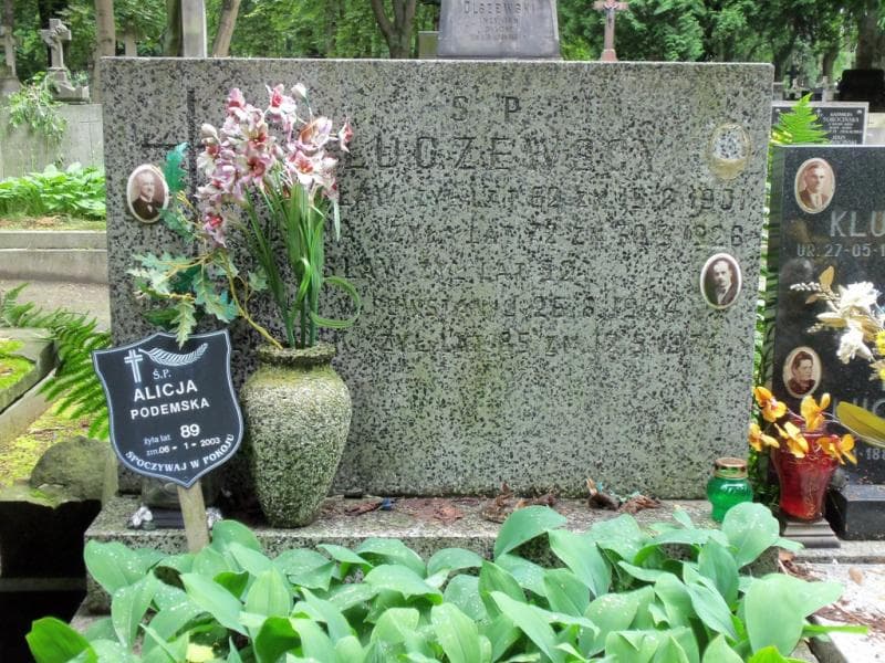 Zdjęcie grobu Stanisław Kluczewski (1)