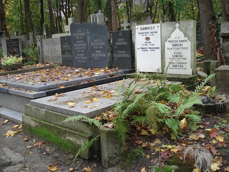 Zdjęcie grobu Franciszek Ksawery Sawicki (1)
