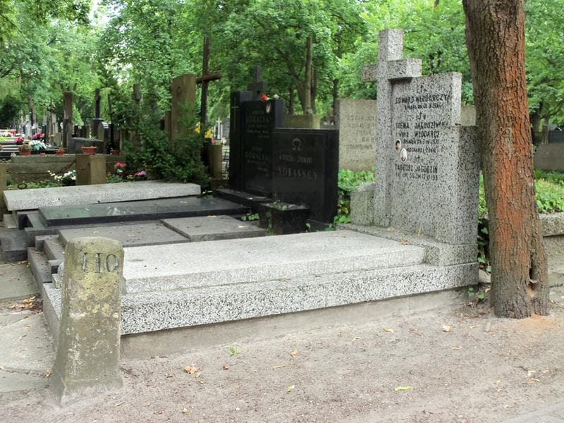 Zdjęcie grobu Tadeusz Jagodziński (1)