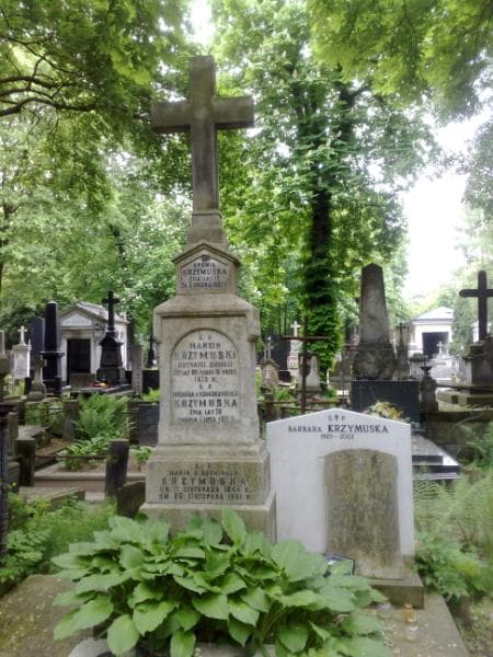 Zdjęcie grobu Feliks Krzymuski (1)