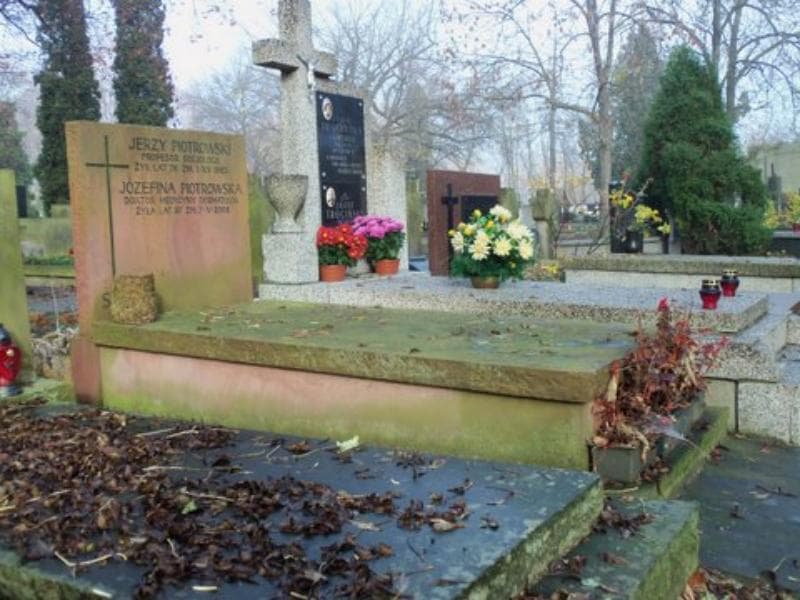 Zdjęcie grobu Józefina Piotrowska (1)