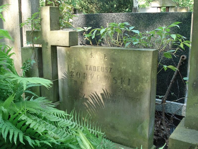 Zdjęcie grobu Tadeusz Borkowski (2)