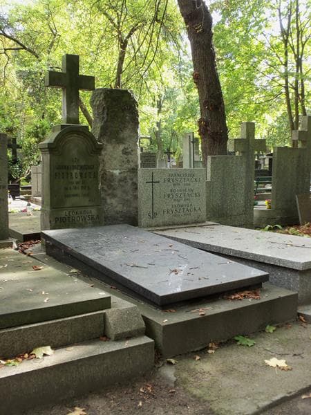 Zdjęcie grobu Janina Piotrowska (1)