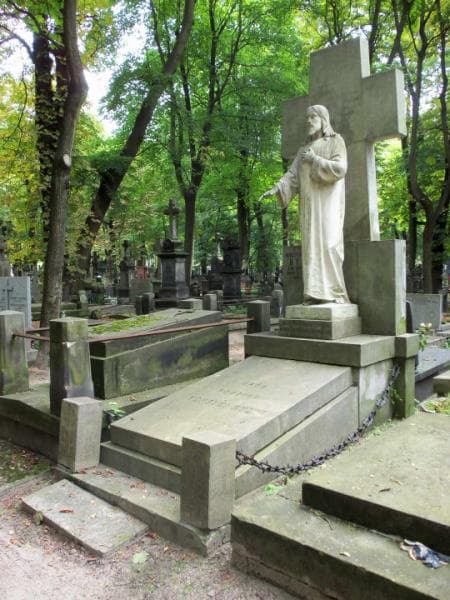 Zdjęcie grobu Mieczysław Ryl (1)
