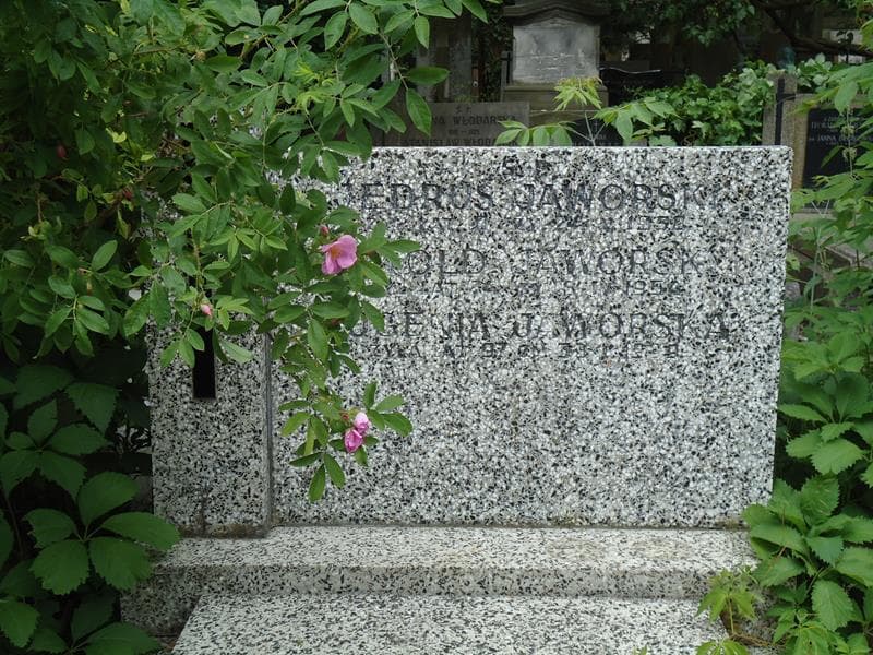 Zdjęcie grobu Witold Jaworski (2)