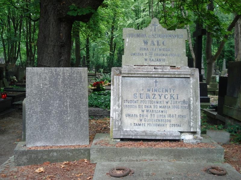 Zdjęcie grobu Lubomira Walc (2)