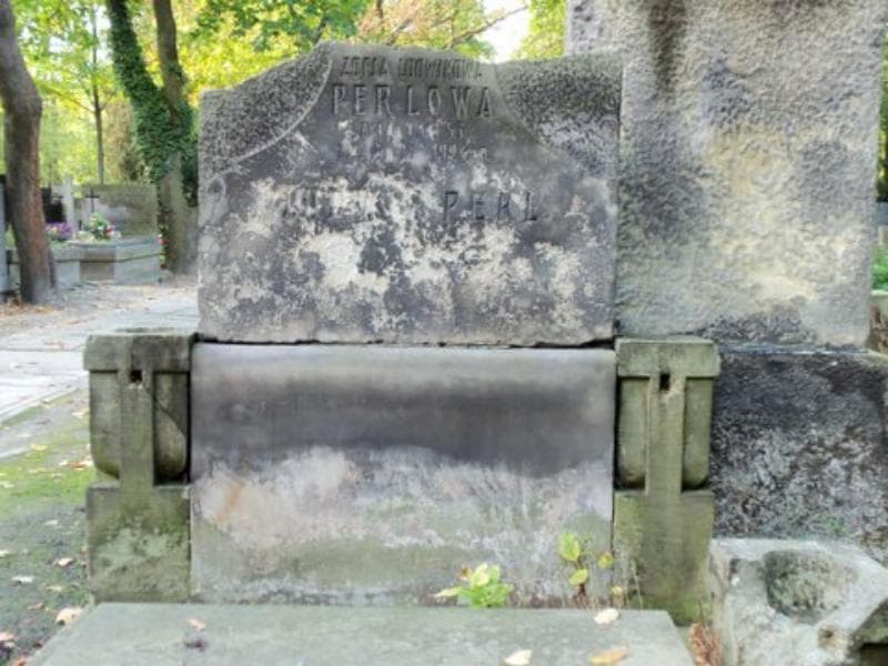 Zdjęcie grobu Zofja Perlowa (2)