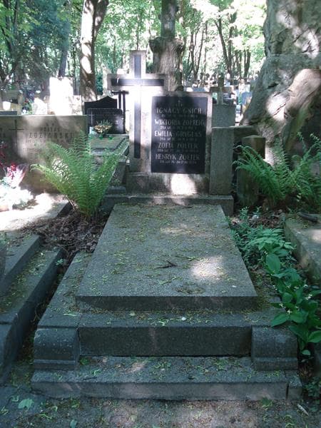 Zdjęcie grobu: Henryk Żółtek