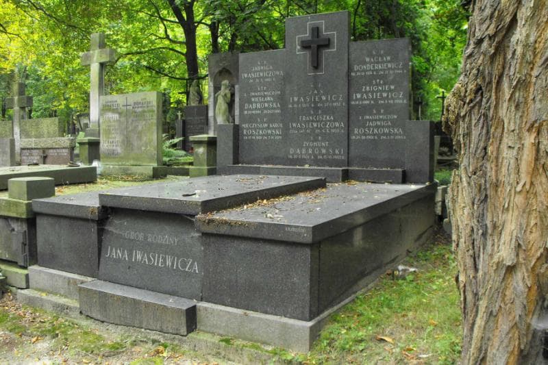 Zdjęcie grobu Zygmunt Dąbrowski (1)