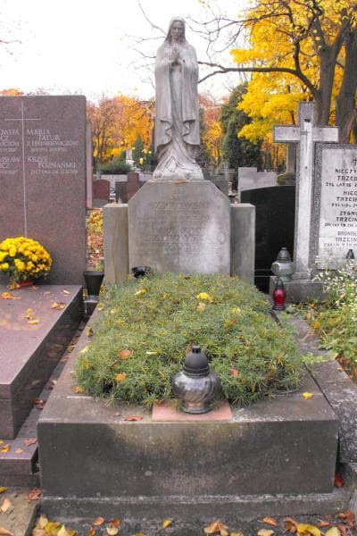 Zdjęcie grobu: Maria Guyot Szypowska