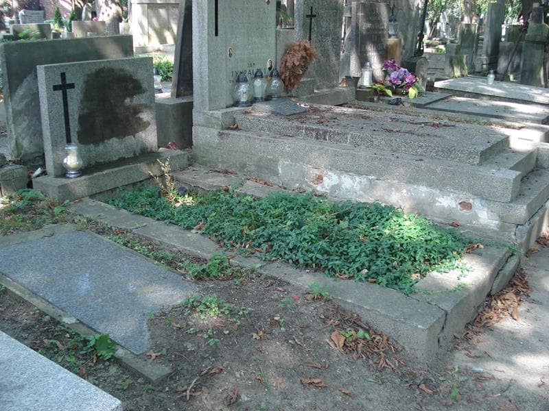 Zdjęcie grobu: Pelagia Majewska