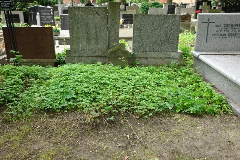 Zdjęcie grobu Antonina Brocka (1)