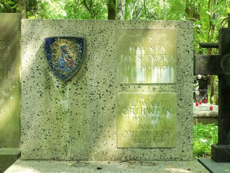 Zdjęcie grobu Malinka Janiszewska (2)