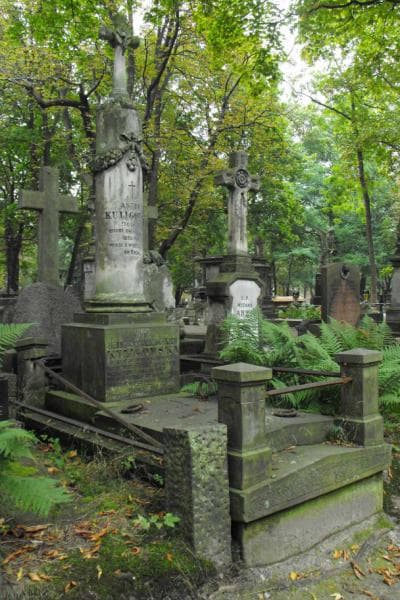 Zdjęcie grobu Eleonora Kuligowska (1)