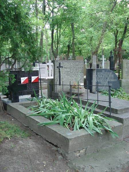 Zdjęcie grobu Emilia Machczyńska (1)