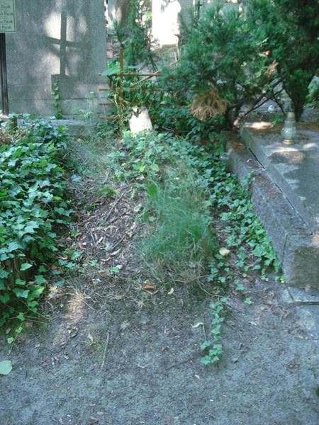 Zdjęcie grobu: Pole Grobowe / Kazimierz Chabrzyk