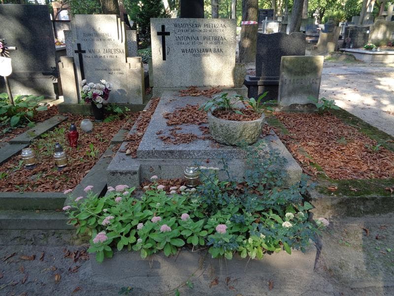 Zdjęcie grobu Antonina Pietrzak (1)