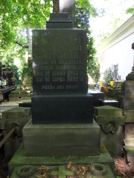 Zdjęcie grobu Marya Von Stender (2)