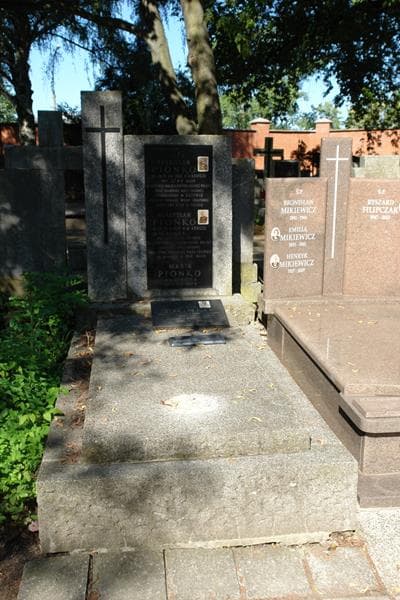 Zdjęcie grobu Władysław Pionko (1)