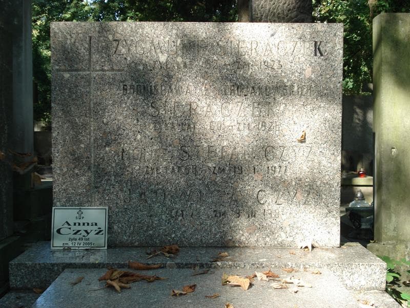 Zdjęcie grobu Stefan Czyż (2)