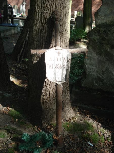 Zdjęcie grobu Pole Grobowe/ Antoni Tarnowski (1)