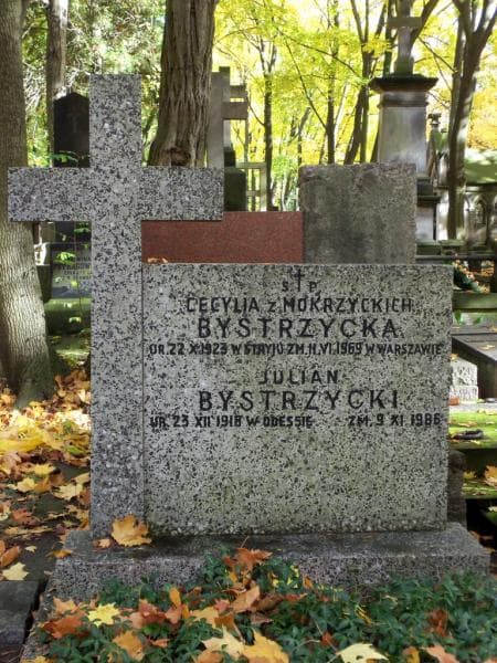 Zdjęcie grobu Cecylia Bystrzycka (2)