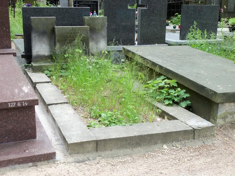 Zdjęcie grobu Krystyna Likowska (1)